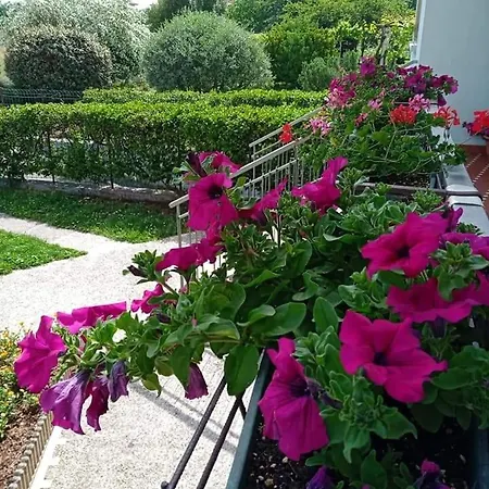La Cjase di Pieri e Vilme-3